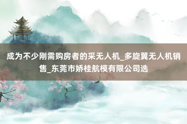 成为不少刚需购房者的采无人机_多旋翼无人机销售_东莞市娇桂航模有限公司选